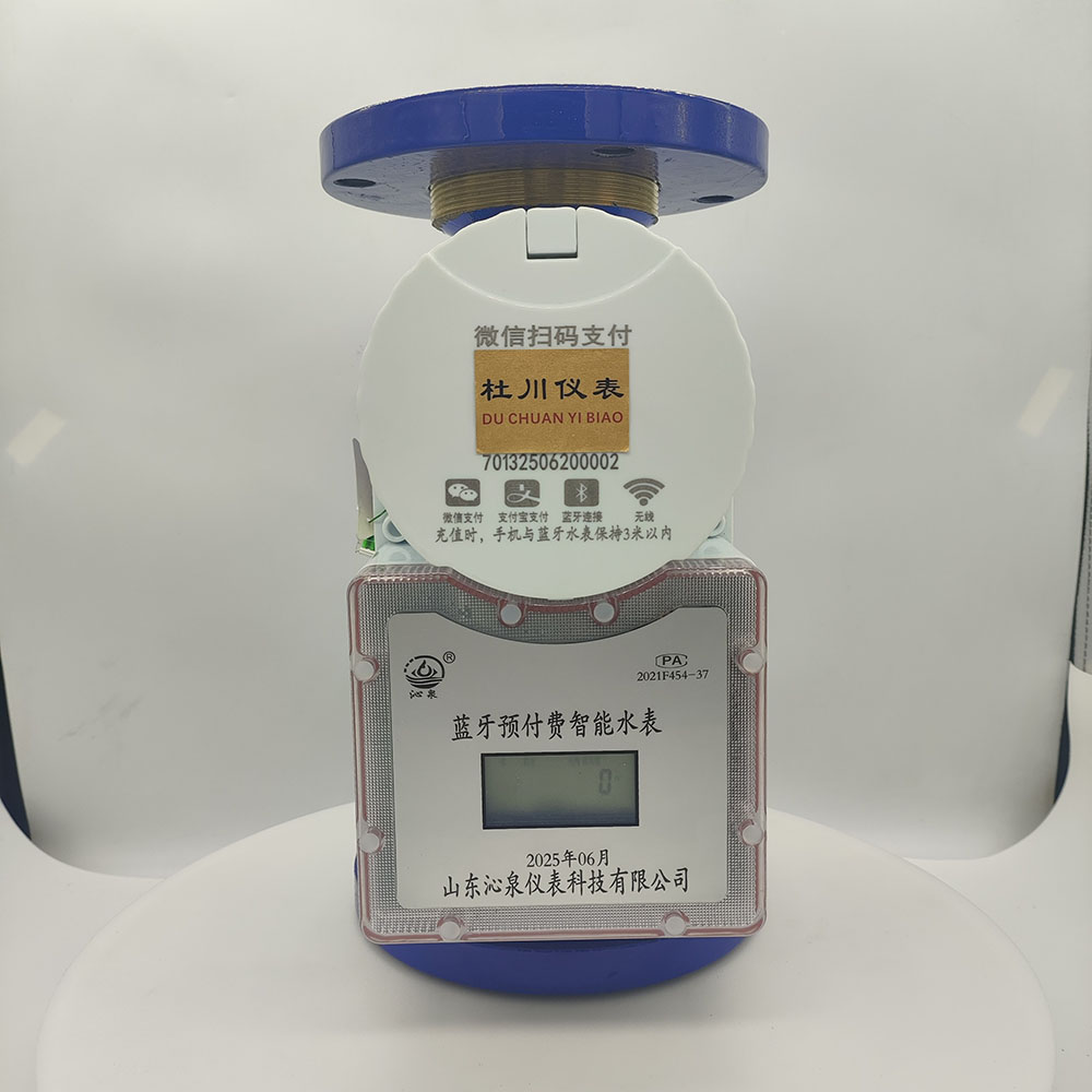 沁泉藍牙預付費智能水表，DN65，水平冷水.jpg