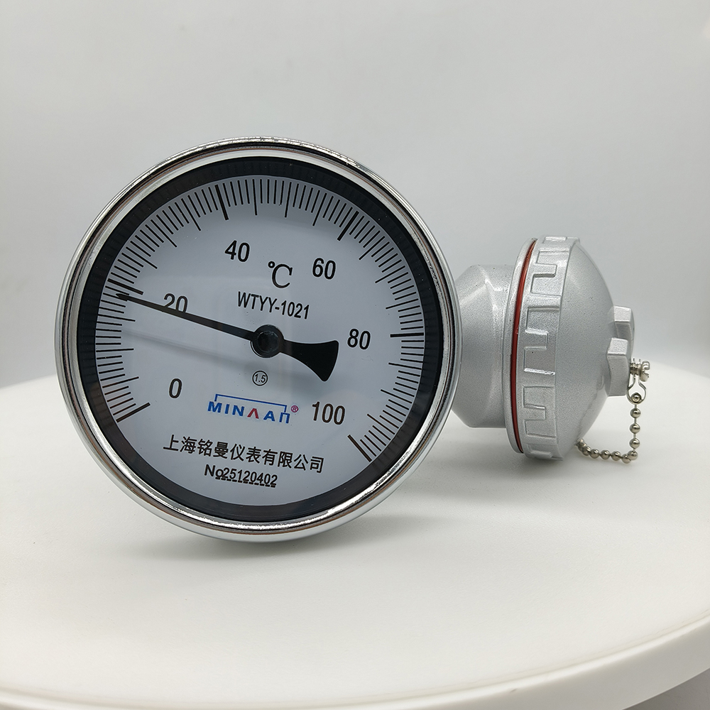 上海銘曼遠傳軸向雙金屬WTYY-1021，100℃ 150mm.jpg